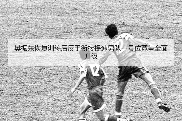 樊振东恢复训练后反手衔接提速男队一号位竞争全面升级